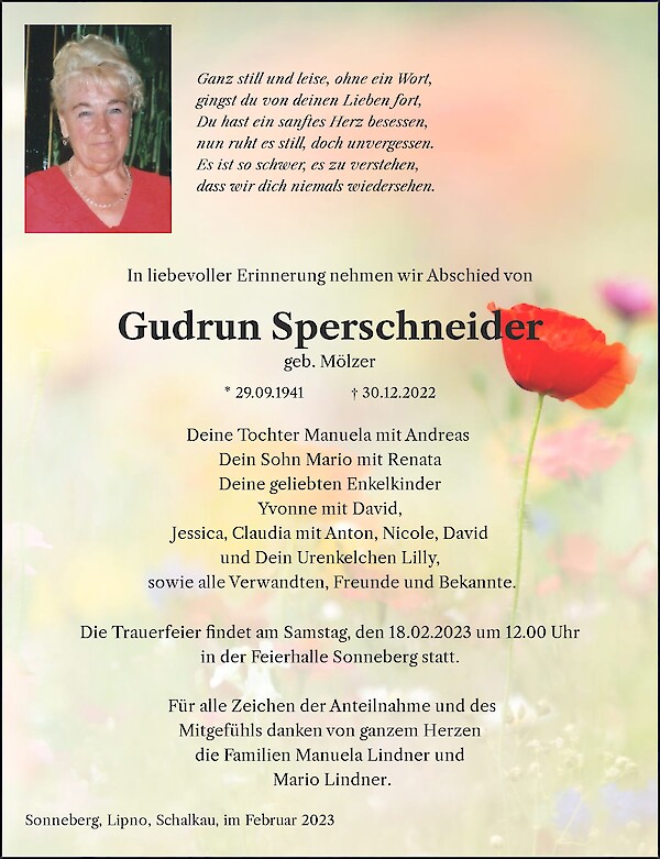 Traueranzeige von Gudrun Sperschneider, Sonneberg